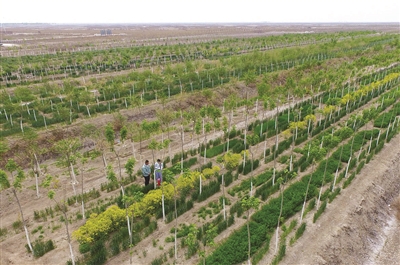 十大外围足球平台app