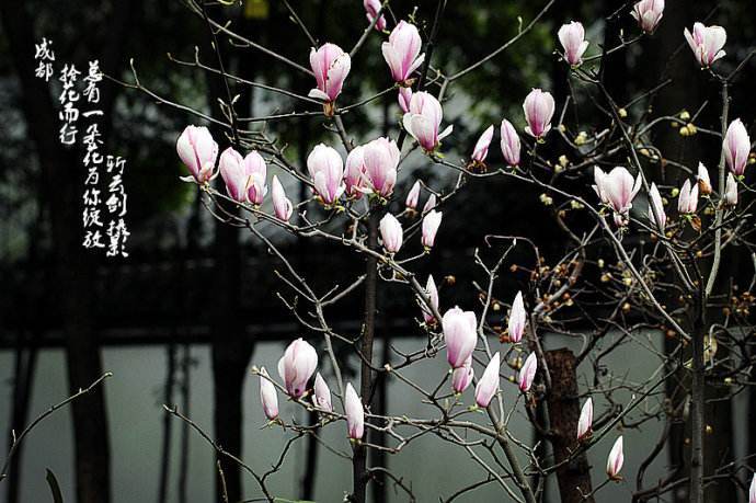 十大外围足球平台app