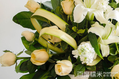 十大外围足球平台app